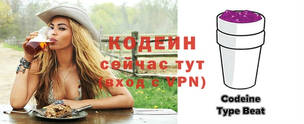 шишки Белоозёрский