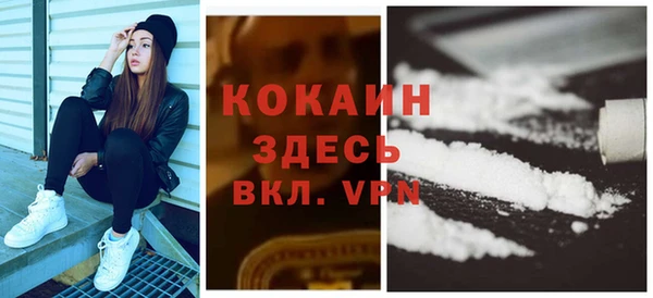 прущие грибы Белокуриха