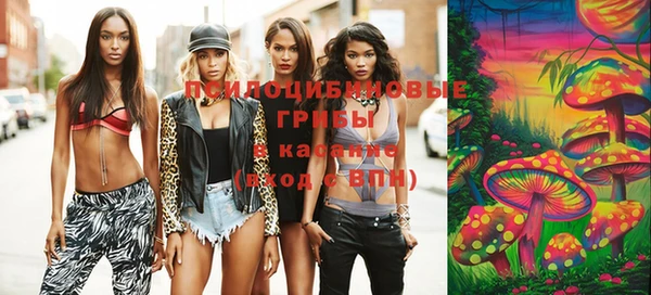 прущие грибы Белокуриха