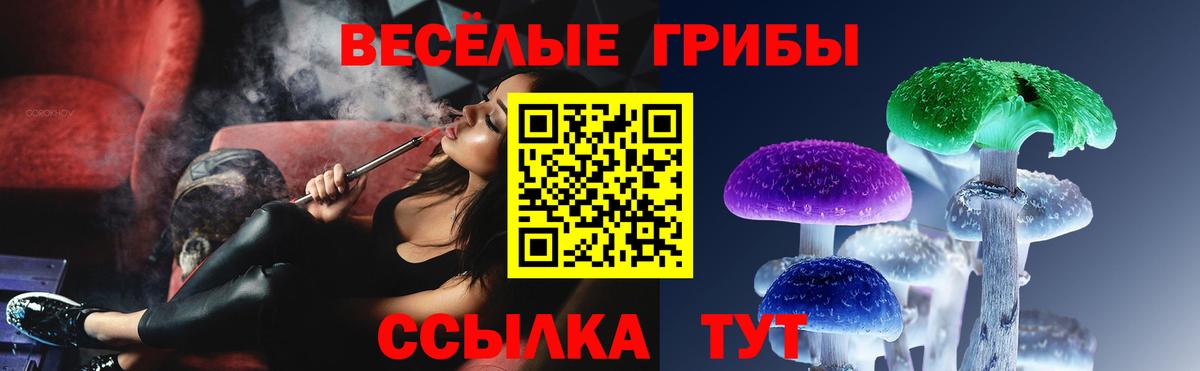 Псилоцибиновые грибы Magic Shrooms  Вход с VPN  Краснокаменск  что такое наркотик  Галлюциногенные грибы Psilocybe 